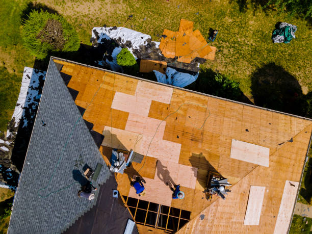 Best Roof Maintenance Services  in Laguna Vista, TX