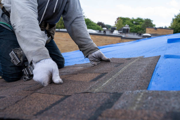 Best Storm Damage Roof Repair  in Laguna Vista, TX