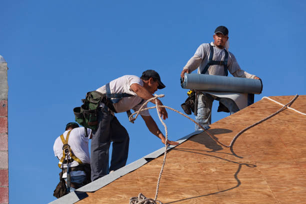 Best Best Roofing Contractors  in Laguna Vista, TX