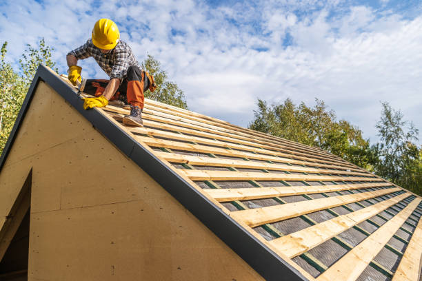 Best Metal Roofing Contractor  in Laguna Vista, TX