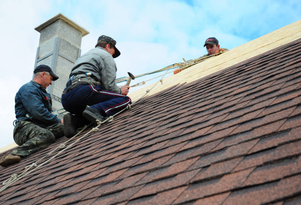 Best Roof Waterproofing Services  in Laguna Vista, TX