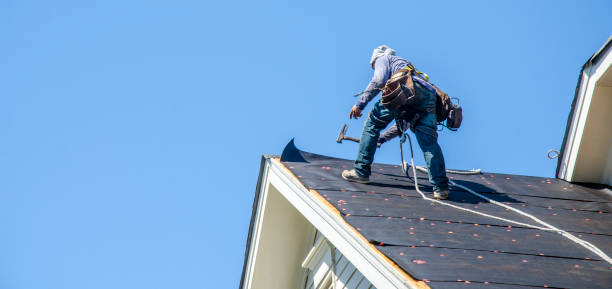 Best Flat Roof Repair Services  in Laguna Vista, TX